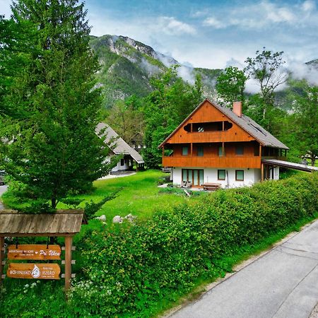 Sobe In Apartmaji Pri Ukcu Бохинь Экстерьер фото